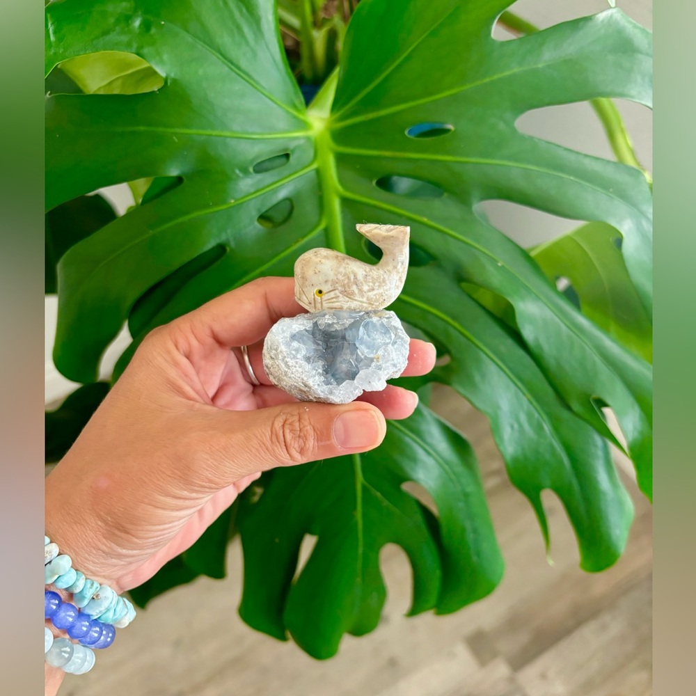 Whale carving on Celestite geode || Handcrafted